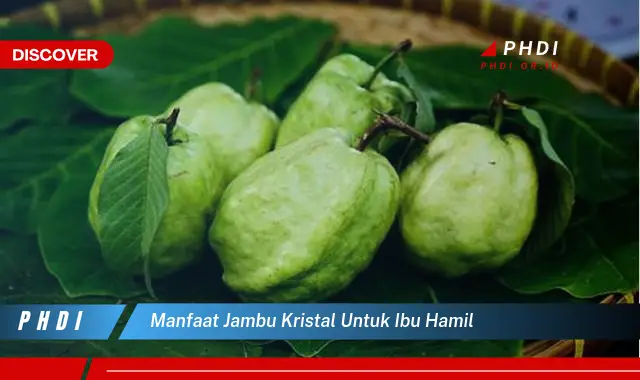 manfaat jambu kristal untuk ibu hamil