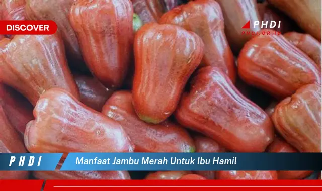 manfaat jambu merah untuk ibu hamil