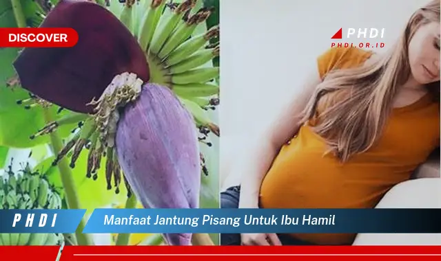 manfaat jantung pisang untuk ibu hamil