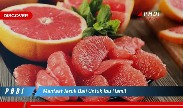 manfaat jeruk bali untuk ibu hamil