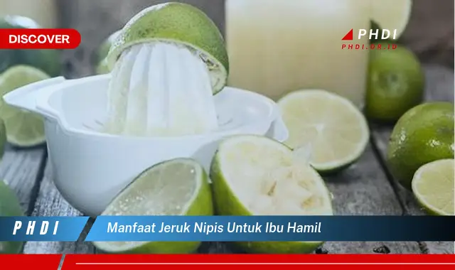 manfaat jeruk nipis untuk ibu hamil