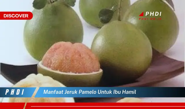 manfaat jeruk pamelo untuk ibu hamil