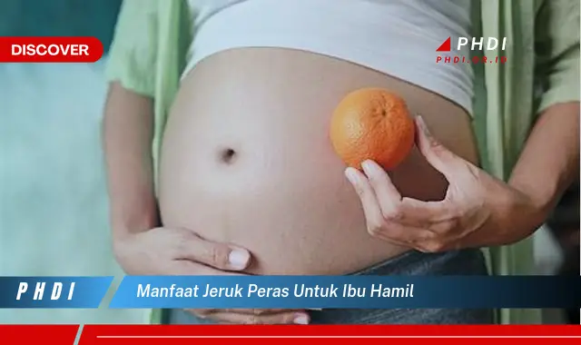 manfaat jeruk peras untuk ibu hamil