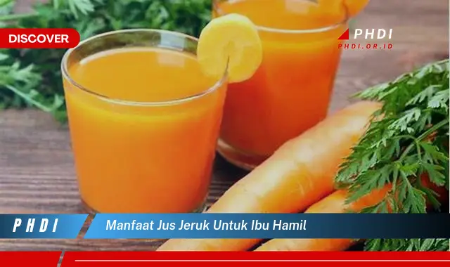 manfaat jus jeruk untuk ibu hamil