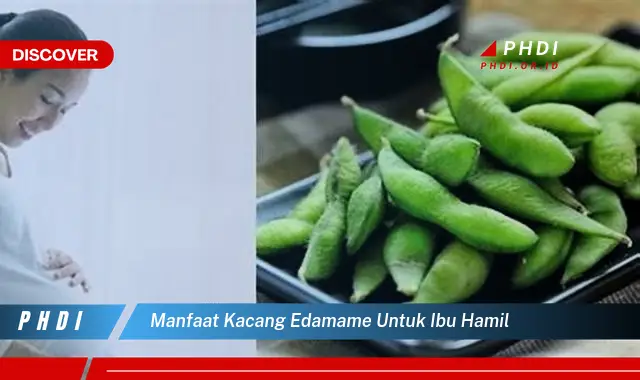 manfaat kacang edamame untuk ibu hamil