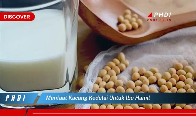 manfaat kacang kedelai untuk ibu hamil