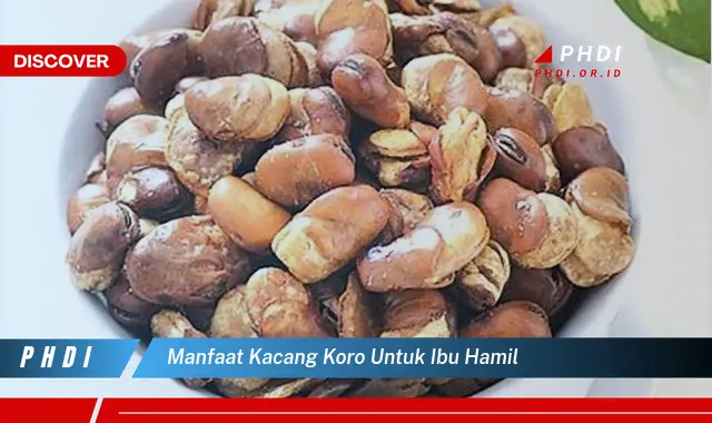 manfaat kacang koro untuk ibu hamil