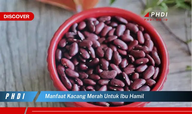 manfaat kacang merah untuk ibu hamil