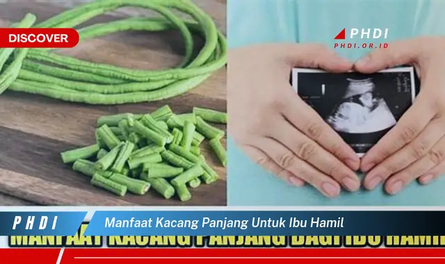 manfaat kacang panjang untuk ibu hamil