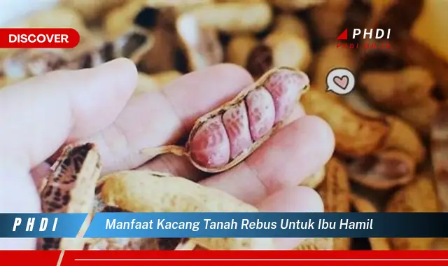 manfaat kacang tanah rebus untuk ibu hamil