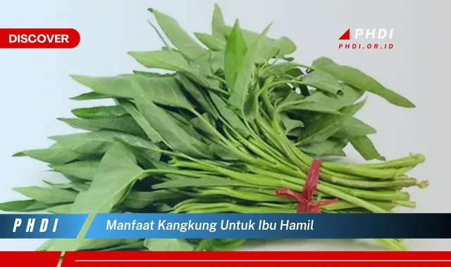 manfaat kangkung untuk ibu hamil