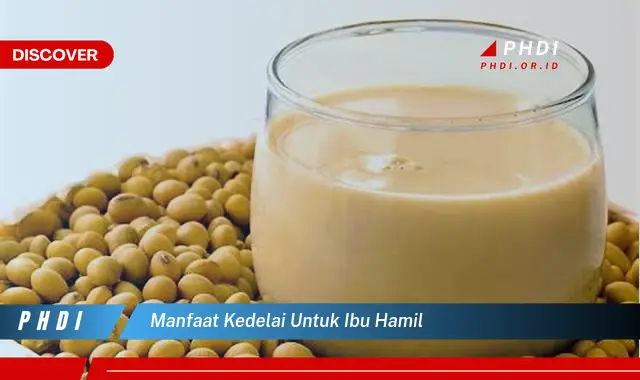 manfaat kedelai untuk ibu hamil