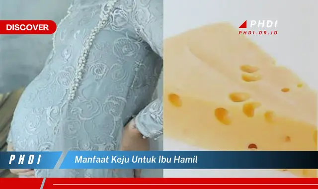 manfaat keju untuk ibu hamil