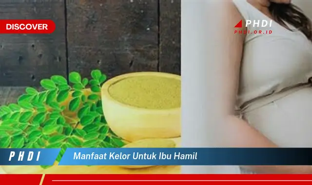 manfaat kelor untuk ibu hamil