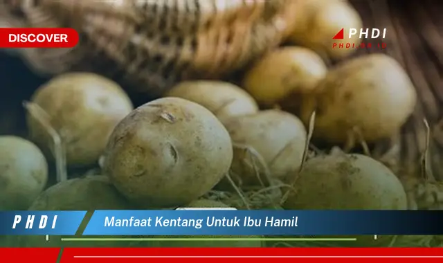 manfaat kentang untuk ibu hamil