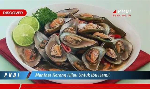 manfaat kerang hijau untuk ibu hamil