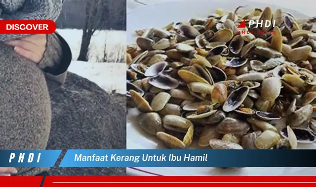 manfaat kerang untuk ibu hamil