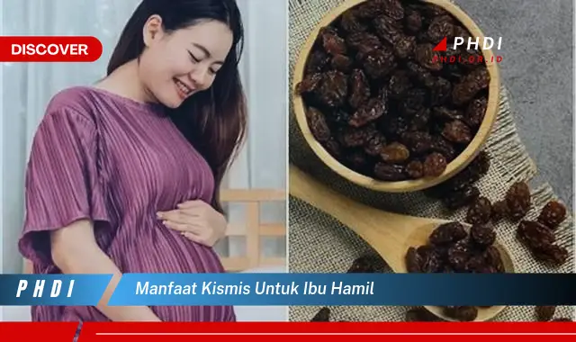 manfaat kismis untuk ibu hamil