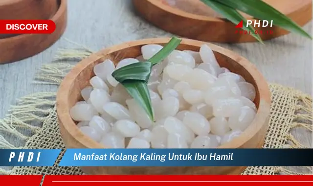 manfaat kolang kaling untuk ibu hamil