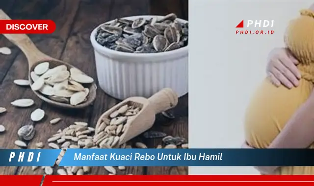 manfaat kuaci rebo untuk ibu hamil