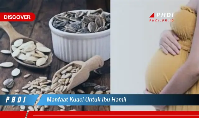 manfaat kuaci untuk ibu hamil