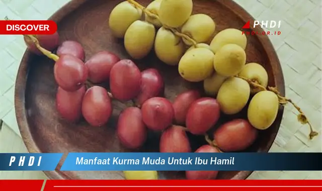 manfaat kurma muda untuk ibu hamil