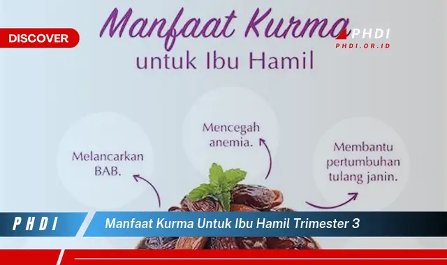 manfaat kurma untuk ibu hamil trimester 3