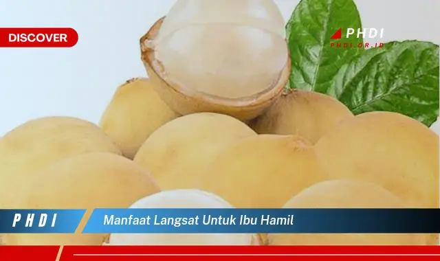 manfaat langsat untuk ibu hamil