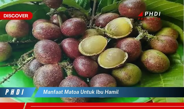 manfaat matoa untuk ibu hamil