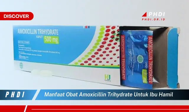 manfaat obat amoxicillin trihydrate untuk ibu hamil