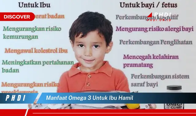 manfaat omega 3 untuk ibu hamil