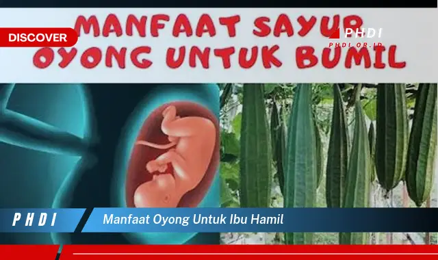 manfaat oyong untuk ibu hamil