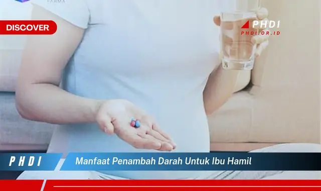 manfaat penambah darah untuk ibu hamil