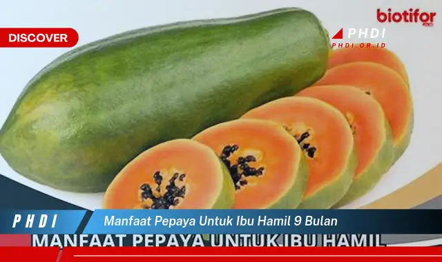 manfaat pepaya untuk ibu hamil 9 bulan