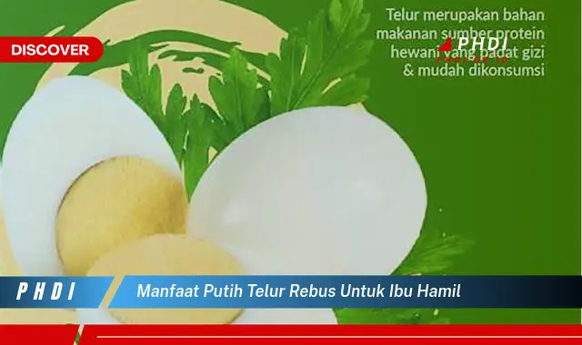 manfaat putih telur rebus untuk ibu hamil