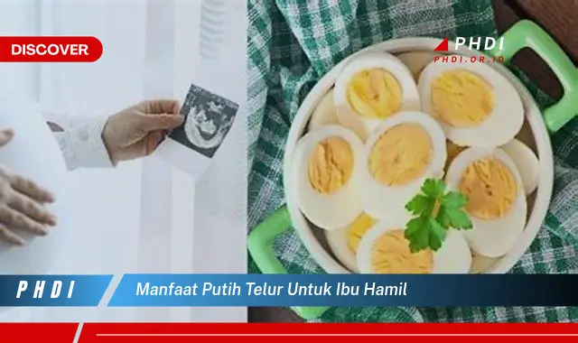 manfaat putih telur untuk ibu hamil