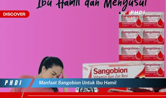 manfaat sangobion untuk ibu hamil