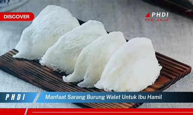 manfaat sarang burung walet untuk ibu hamil