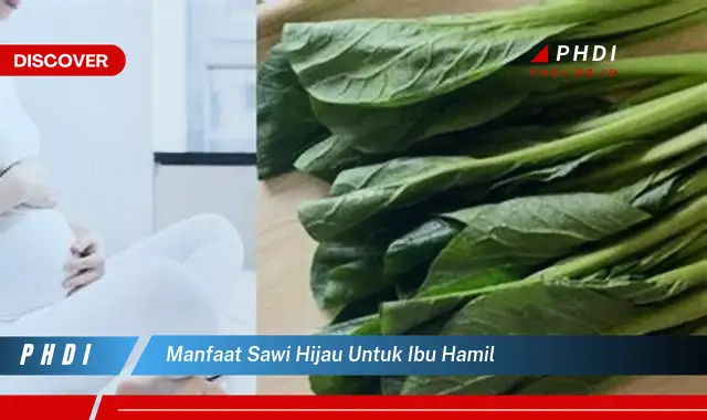 manfaat sawi hijau untuk ibu hamil