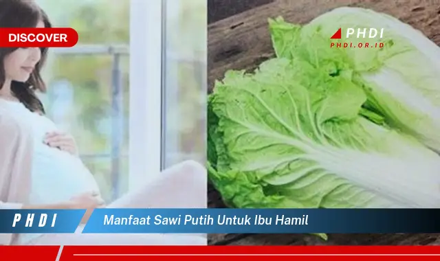 manfaat sawi putih untuk ibu hamil