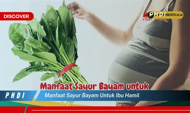 manfaat sayur bayam untuk ibu hamil