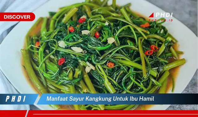 manfaat sayur kangkung untuk ibu hamil