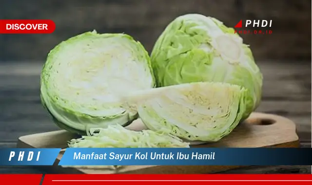 manfaat sayur kol untuk ibu hamil