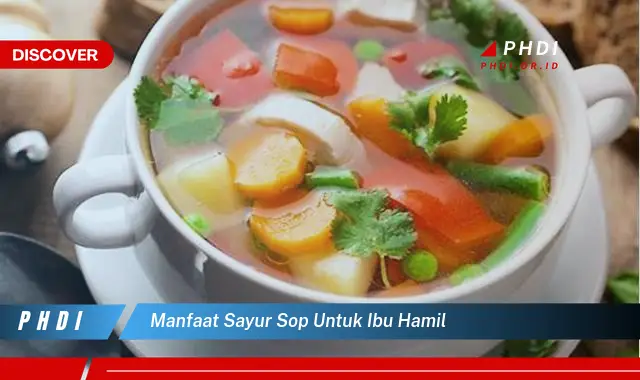 manfaat sayur sop untuk ibu hamil