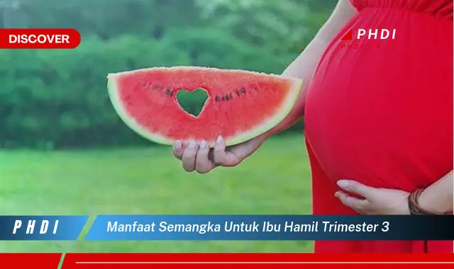 manfaat semangka untuk ibu hamil trimester 3