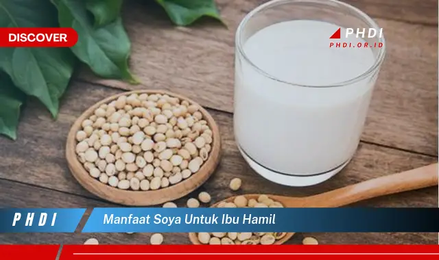 manfaat soya untuk ibu hamil