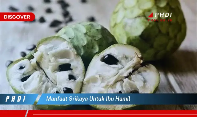 manfaat srikaya untuk ibu hamil