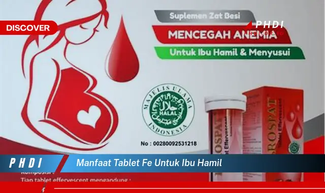 manfaat tablet fe untuk ibu hamil