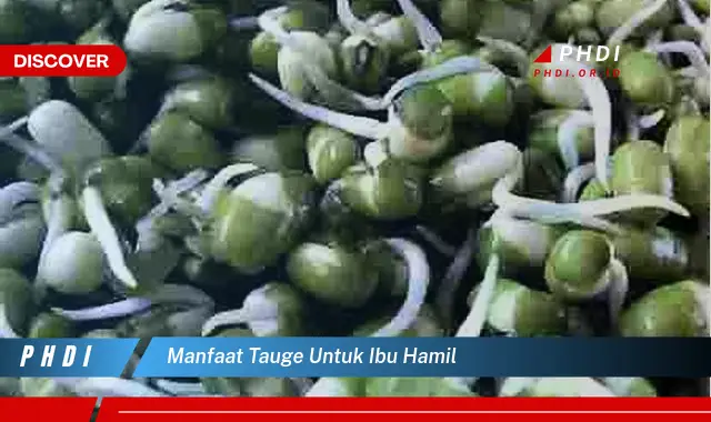 manfaat tauge untuk ibu hamil