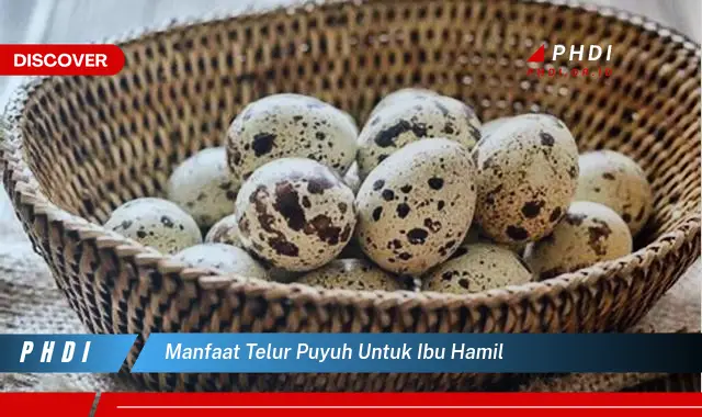 manfaat telur puyuh untuk ibu hamil